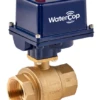 WaterCop Industrial Activator With 2 Inch Brass Water Valve